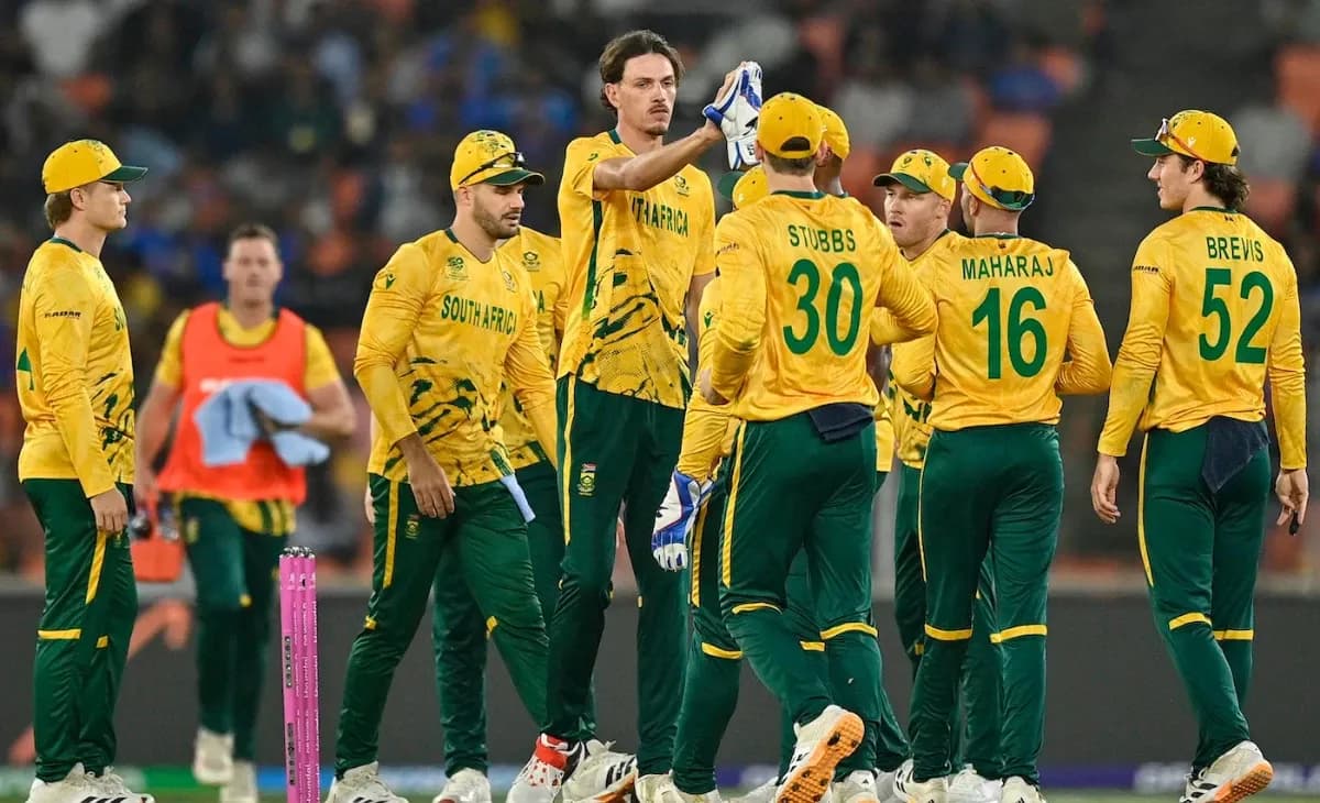 South Africa Secure Solid Win Over New Zealand
